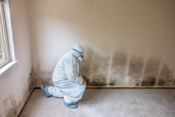 Water Damage Restoration in Belzoni, MS